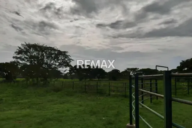 Venta de finca 130 hectáreas Vía Lagunitas - 4