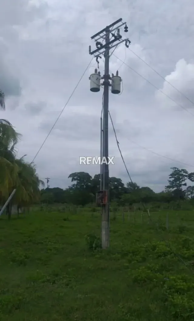 Venta de finca 130 hectáreas Vía Lagunitas - 6