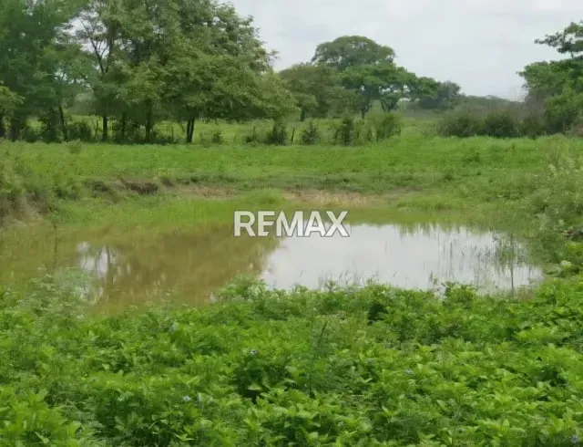 Venta de finca 130 hectáreas Vía Lagunitas - 7