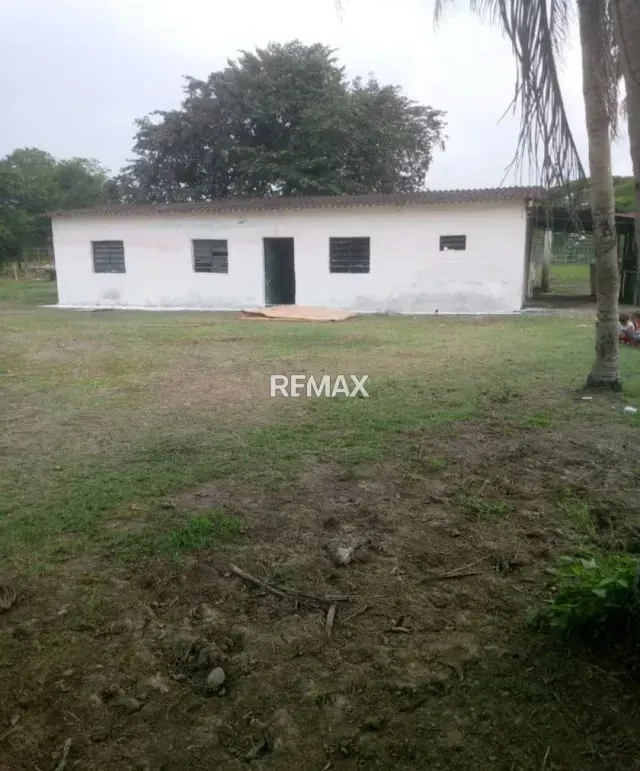 Venta de finca 130 hectáreas Vía Lagunitas - 9