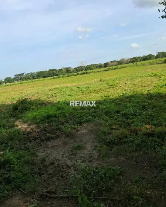 Venta de finca 130 hectáreas Vía Lagunitas - 10