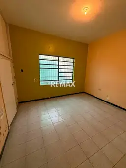 Vista 6
