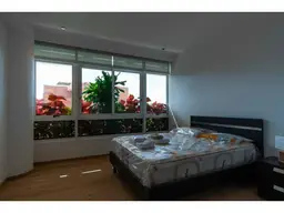 Vista 14