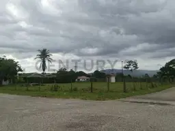 View 1