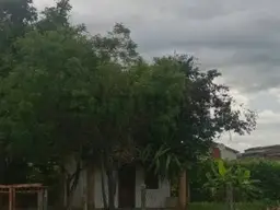 View 5