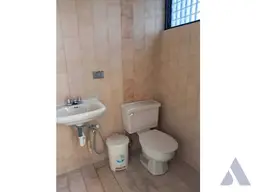Vista 9
