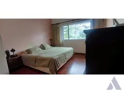 View 19