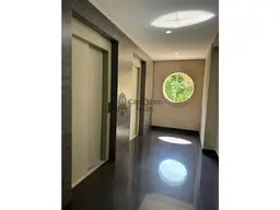 Vista 19