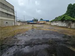 Vista 1