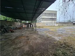Vista 5