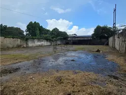 Vista 9