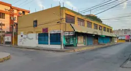 Vista 8