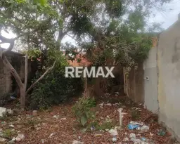 View 8