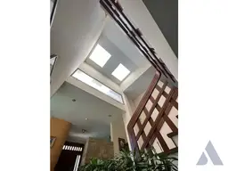 Vista 19