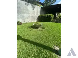 Vista 4