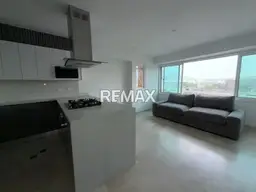 Vista 4