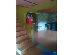 Vista 15