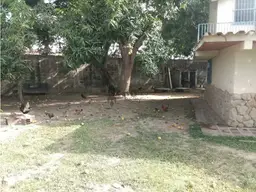 Vista 16