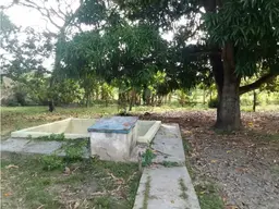 Vista 20