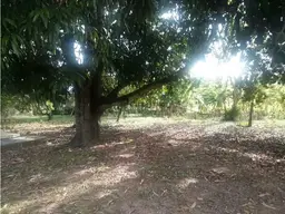 Vista 4
