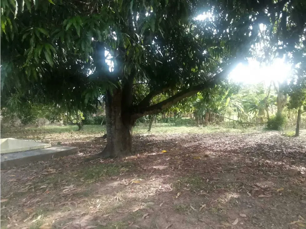 Se vende terreno en San Diego para desarrollo urbanistico - 5