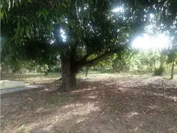 Vista 5