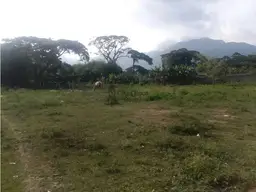 Vista 9