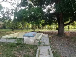Vista 10