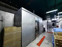 Vista 12