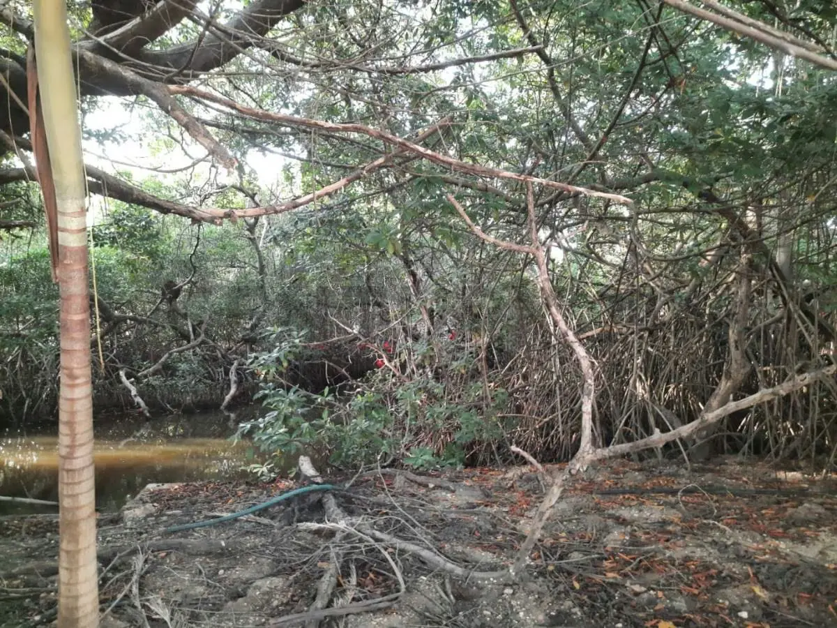 Venta de terreno - 12
