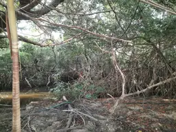 View 12