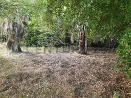 View 14