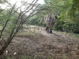 View 15