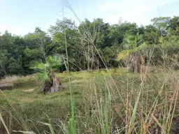 View 16