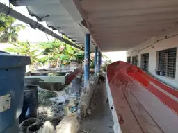 View 5