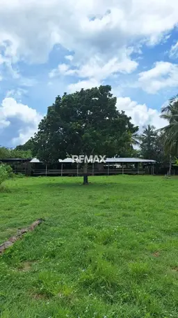 View 1