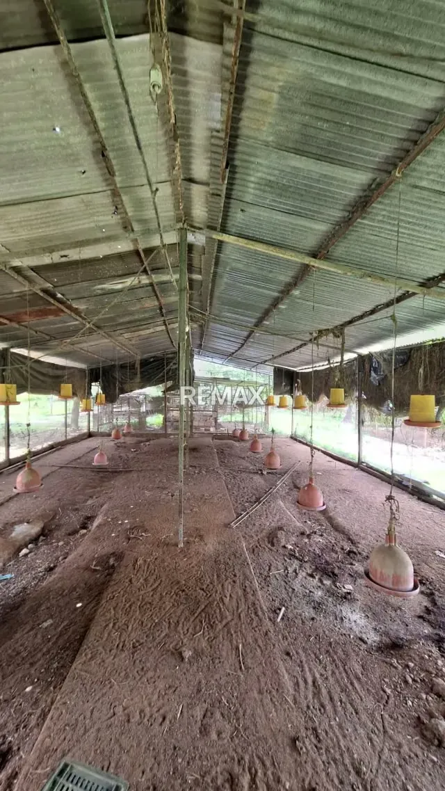 Granja Integral en Venta en La Mariposa Lista para Producir - 11