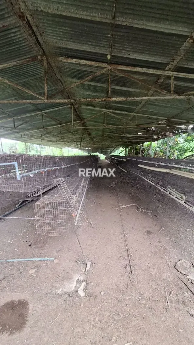 Granja Integral en Venta en La Mariposa Lista para Producir - 12