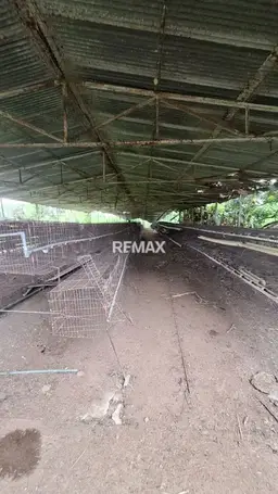 View 12