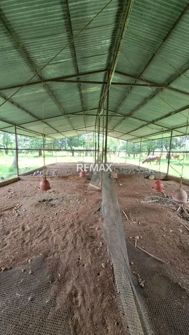 Granja Integral en Venta en La Mariposa Lista para Producir - 13