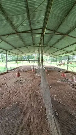 View 13
