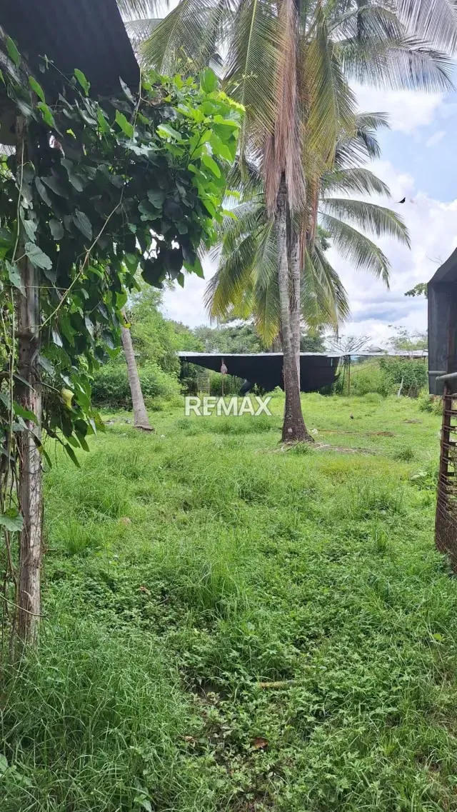 Granja Integral en Venta en La Mariposa Lista para Producir - 14