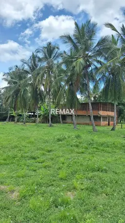 View 15