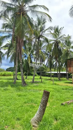 View 17