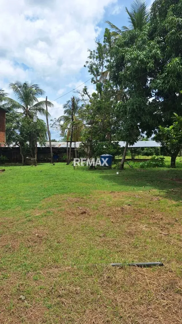 Granja Integral en Venta en La Mariposa Lista para Producir - 5