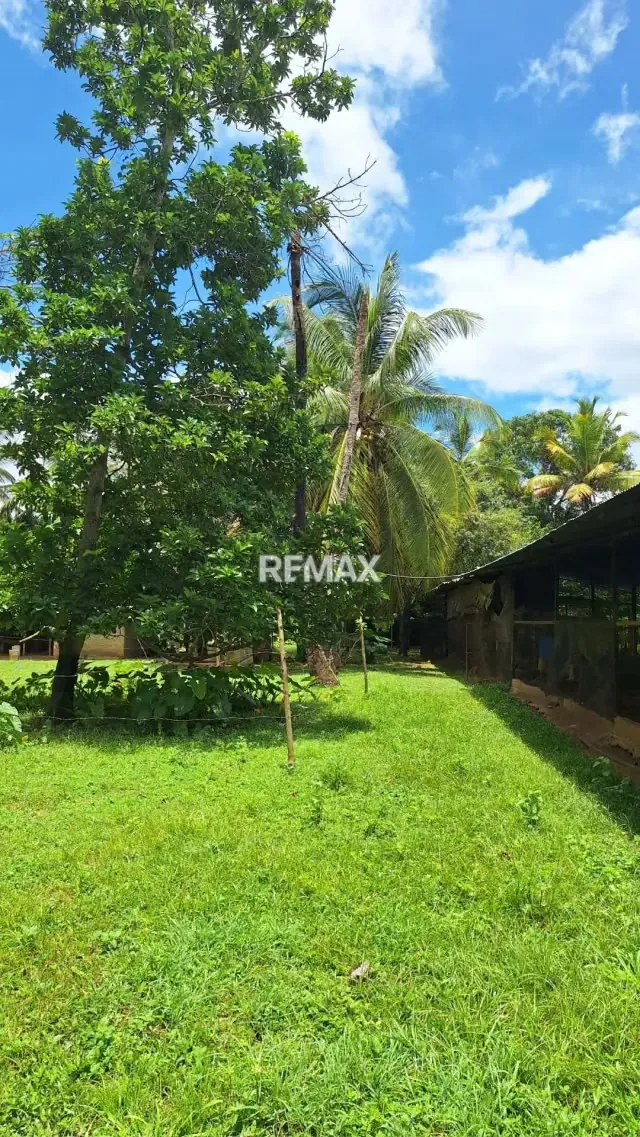 Granja Integral en Venta en La Mariposa Lista para Producir - 7