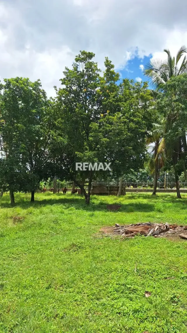 Granja Integral en Venta en La Mariposa Lista para Producir - 10