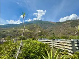 View 33