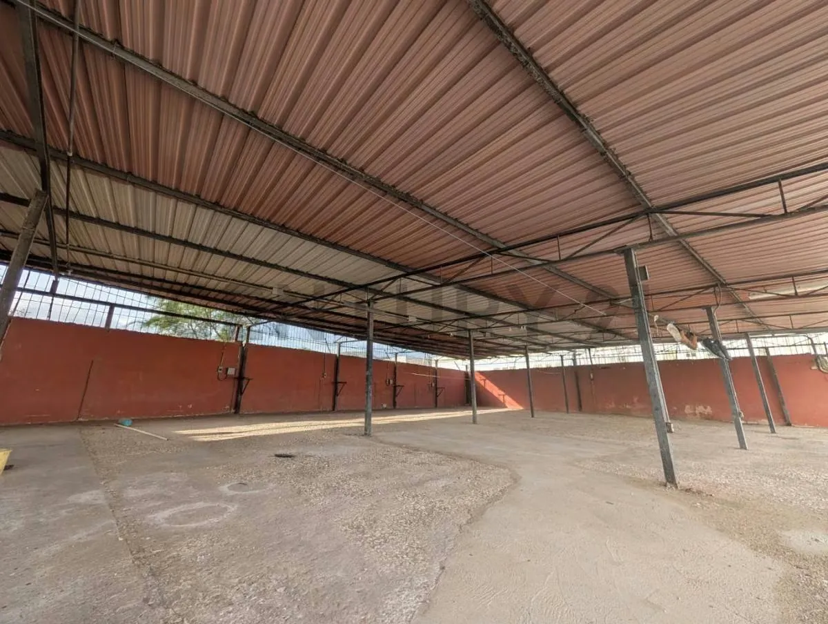 GALPON EQUIPADO INDUSTRIAL EN PORLAMAR ISLA DE MARGARITA - 7