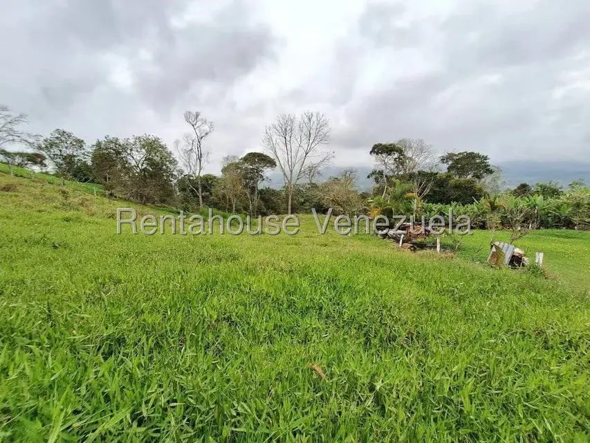 Terreno (Finca) en Venta en Buena Aventura, Merida